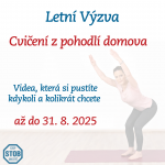 Letní Výzva: Cvičení z pohodlí domova